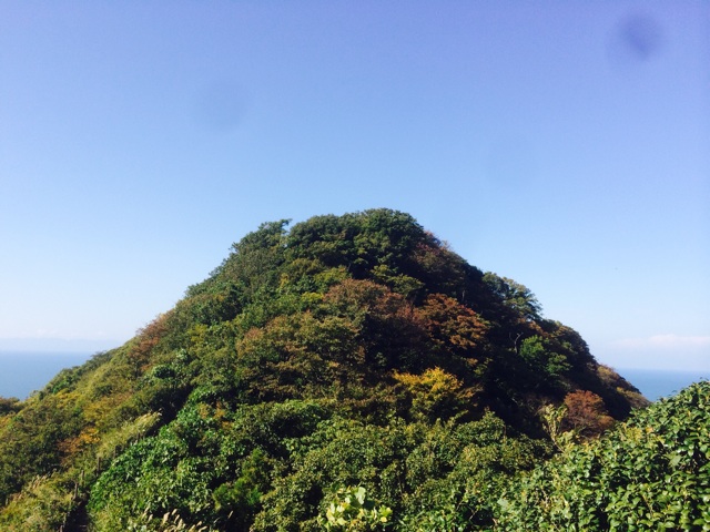 f:id:ibaya:20141020142504j:plain f:id:ibaya:20141020142504j:plain