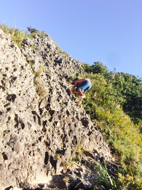 f:id:ibaya:20141020142659j:plain f:id:ibaya:20141020142659j:plain