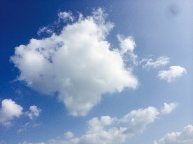 f:id:ibaya:20150221082917j:plain f:id:ibaya:20150221082917j:plain