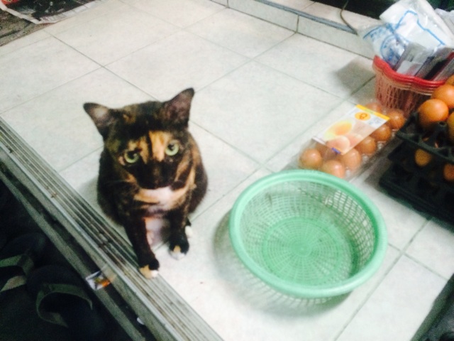 f:id:ibaya:20150306111656j:plain f:id:ibaya:20150306111656j:plain