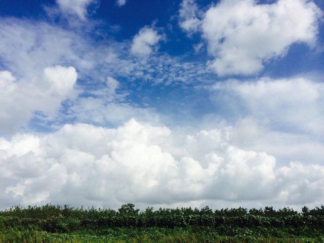 f:id:ibaya:20150411214400j:plain f:id:ibaya:20150411214400j:plain