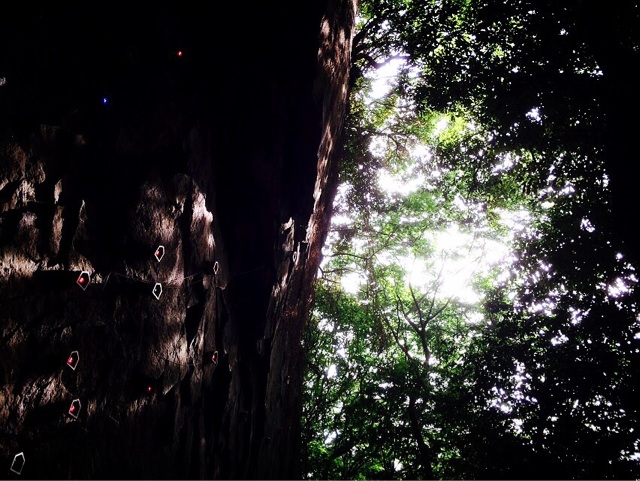 f:id:ibaya:20150518193726j:plain f:id:ibaya:20150518193726j:plain