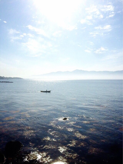 f:id:ibaya:20150613010807j:plain f:id:ibaya:20150613010807j:plain