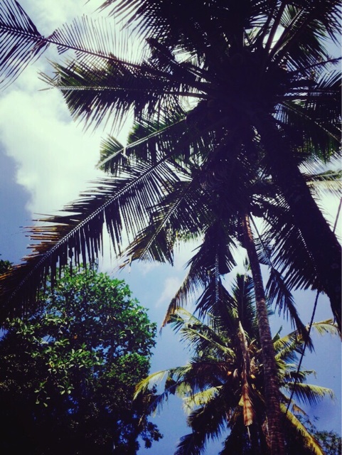 f:id:ibaya:20150715131009j:plain f:id:ibaya:20150715131009j:plain