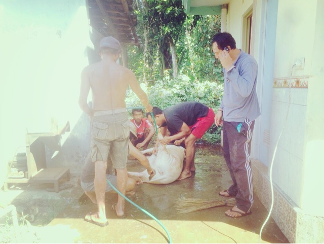 f:id:ibaya:20150715131243j:plain f:id:ibaya:20150715131243j:plain