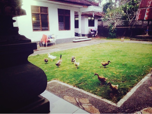 f:id:ibaya:20150715163155j:plain f:id:ibaya:20150715163155j:plain