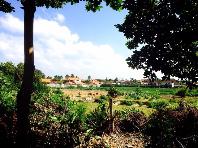 f:id:ibaya:20150717102412j:plain f:id:ibaya:20150717102412j:plain