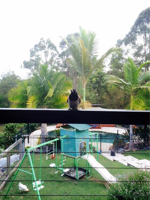 f:id:ibaya:20150929153948j:plain f:id:ibaya:20150929153948j:plain
