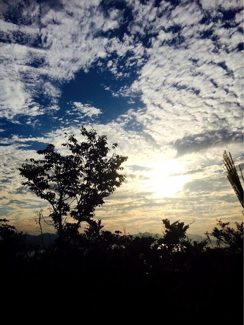 f:id:ibaya:20151020092541j:plain f:id:ibaya:20151020092541j:plain