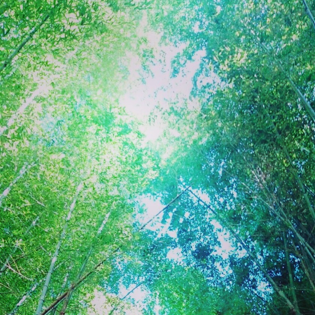 f:id:ibaya:20160418110835j:plain f:id:ibaya:20160418110835j:plain