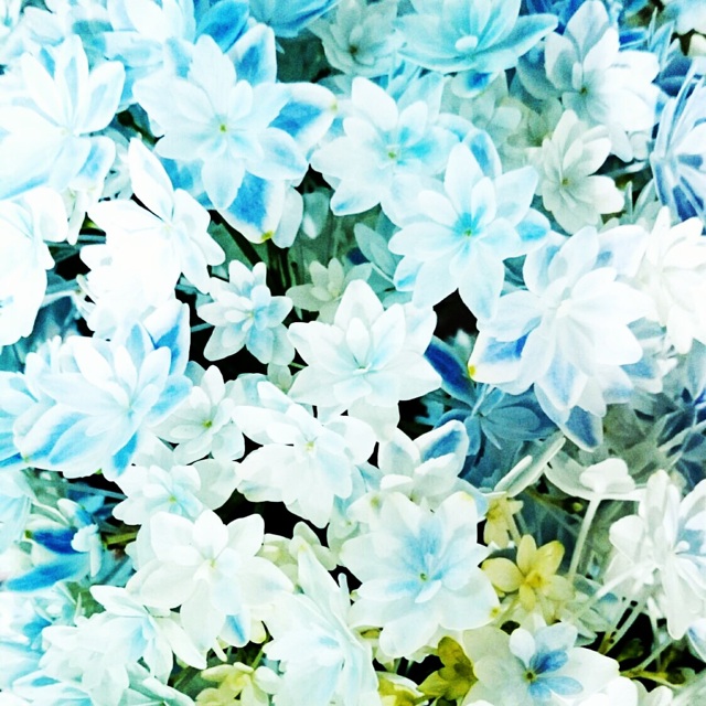 f:id:ibaya:20160511044651j:plain f:id:ibaya:20160511044651j:plain