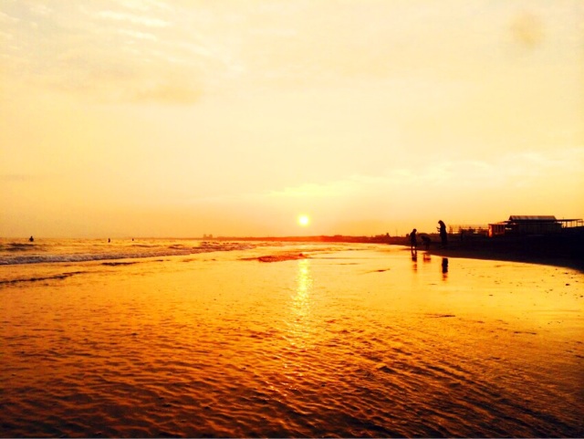f:id:ibaya:20160529072723j:plain f:id:ibaya:20160529072723j:plain