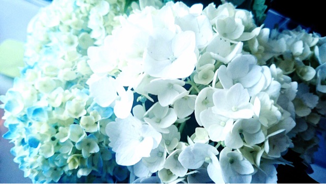 f:id:ibaya:20160627102952j:plain f:id:ibaya:20160627102952j:plain