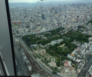 f:id:ichigo-daihuku:20140809211415j:plain f:id:ichigo-daihuku:20140809211415j:plain