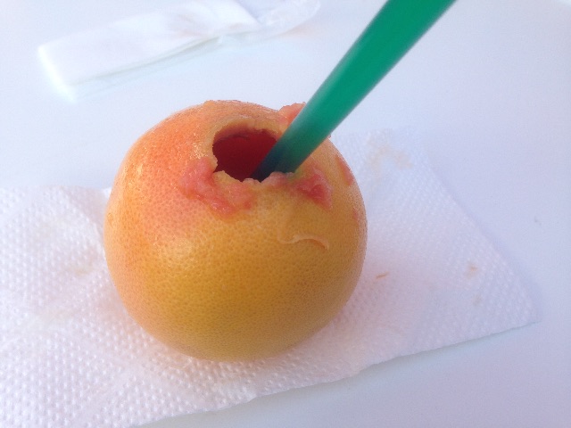 f:id:ichigo-daihuku:20150508162158j:image f:id:ichigo-daihuku:20150508162158j:image