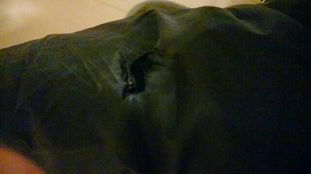 f:id:ichigo1213:20160204194823j:image f:id:ichigo1213:20160204194823j:image