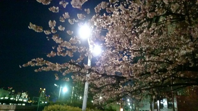 f:id:ichigo1213:20160303221147j:image f:id:ichigo1213:20160303221147j:image