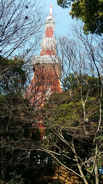 f:id:ichigo2015:20160303220750j:image f:id:ichigo2015:20160303220750j:image
