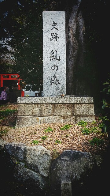 f:id:ichigo2015:20160304232513j:image f:id:ichigo2015:20160304232513j:image