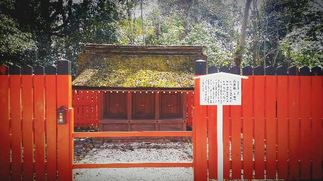 f:id:ichigo2015:20160304232536j:image f:id:ichigo2015:20160304232536j:image