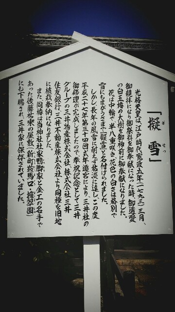 f:id:ichigo2015:20160305112728j:image f:id:ichigo2015:20160305112728j:image