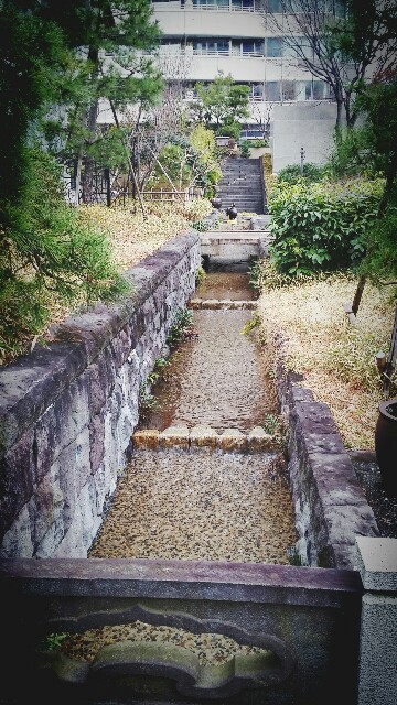 f:id:ichigo2015:20160311144146j:image f:id:ichigo2015:20160311144146j:image