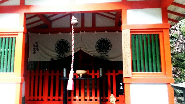 f:id:ichigo2015:20160319200450j:image f:id:ichigo2015:20160319200450j:image