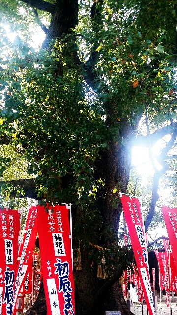 f:id:ichigo2015:20160323195644j:image f:id:ichigo2015:20160323195644j:image