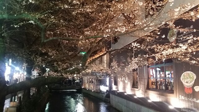 f:id:ichigo2015:20160323212050j:image f:id:ichigo2015:20160323212050j:image