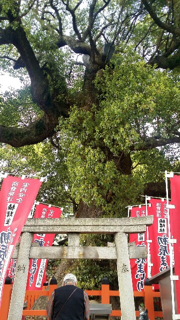 f:id:ichigo2015:20160405160048j:image f:id:ichigo2015:20160405160048j:image