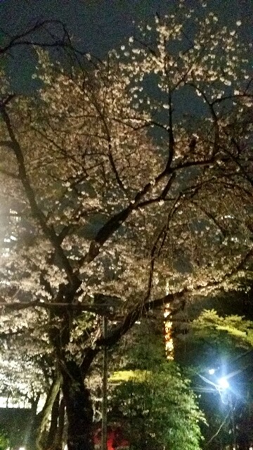 f:id:ichigo2015:20160406211930j:image f:id:ichigo2015:20160406211930j:image