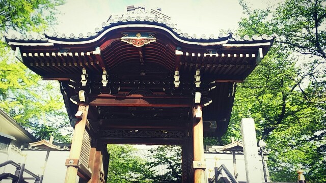 f:id:ichigo2015:20160429082916j:image f:id:ichigo2015:20160429082916j:image