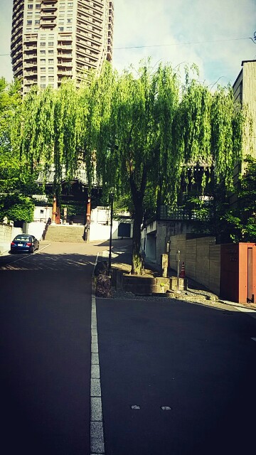 f:id:ichigo2015:20160429083021j:image f:id:ichigo2015:20160429083021j:image