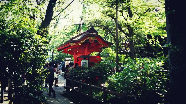 f:id:ichigo2015:20160430183009j:image f:id:ichigo2015:20160430183009j:image