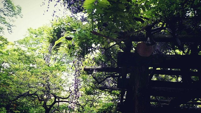 f:id:ichigo2015:20160501092244j:image f:id:ichigo2015:20160501092244j:image