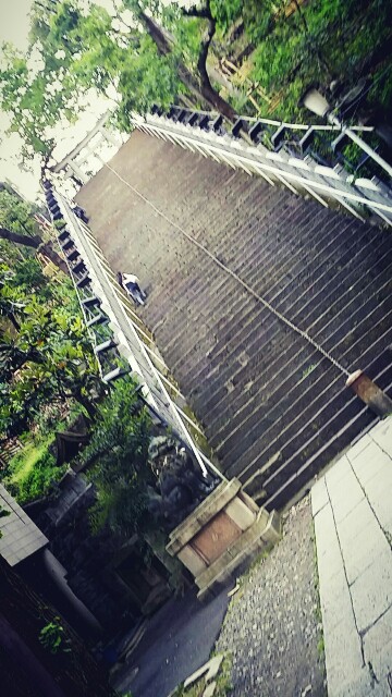 f:id:ichigo2015:20160516204734j:image f:id:ichigo2015:20160516204734j:image