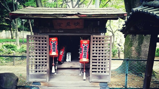 f:id:ichigo2015:20160516205009j:image f:id:ichigo2015:20160516205009j:image