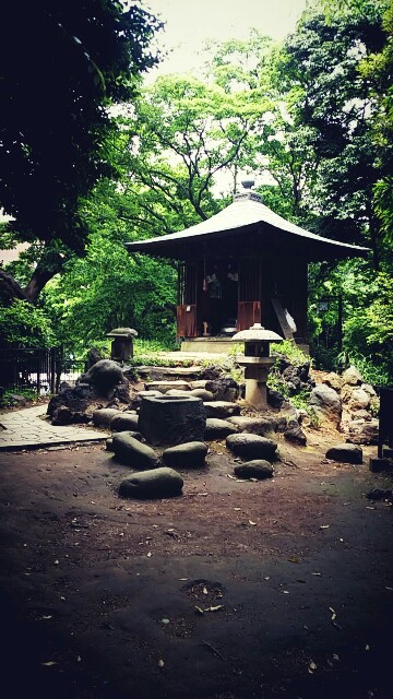 f:id:ichigo2015:20160520233927j:image f:id:ichigo2015:20160520233927j:image