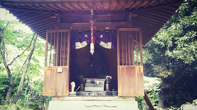 f:id:ichigo2015:20160520234003j:image f:id:ichigo2015:20160520234003j:image