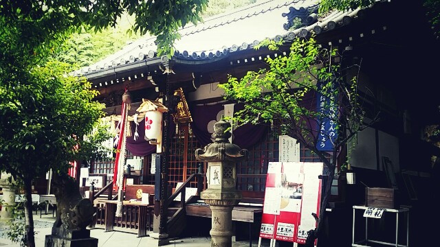f:id:ichigo2015:20160526141819j:image f:id:ichigo2015:20160526141819j:image