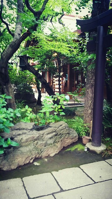 f:id:ichigo2015:20160531141815j:image f:id:ichigo2015:20160531141815j:image