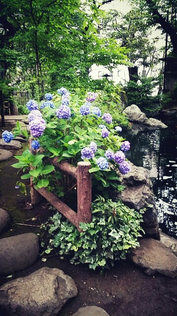 f:id:ichigo2015:20160531141832j:image f:id:ichigo2015:20160531141832j:image