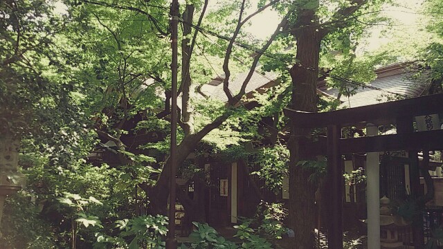 f:id:ichigo2015:20160610151711j:image f:id:ichigo2015:20160610151711j:image
