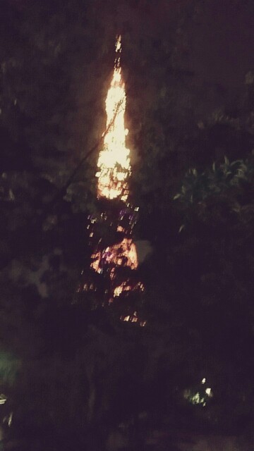 f:id:ichigo2015:20160610213207j:image f:id:ichigo2015:20160610213207j:image