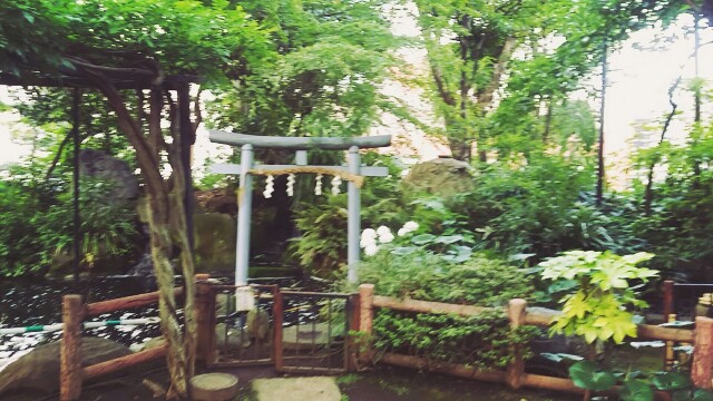 f:id:ichigo2015:20160618102545j:image f:id:ichigo2015:20160618102545j:image