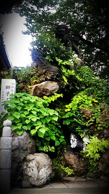 f:id:ichigo2015:20160702223519j:image f:id:ichigo2015:20160702223519j:image