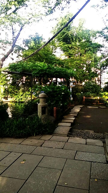f:id:ichigo2015:20160702223614j:image f:id:ichigo2015:20160702223614j:image