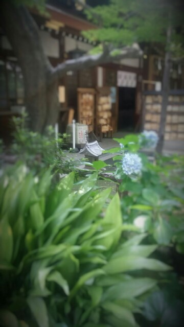 f:id:ichigo2015:20160714211237j:image f:id:ichigo2015:20160714211237j:image