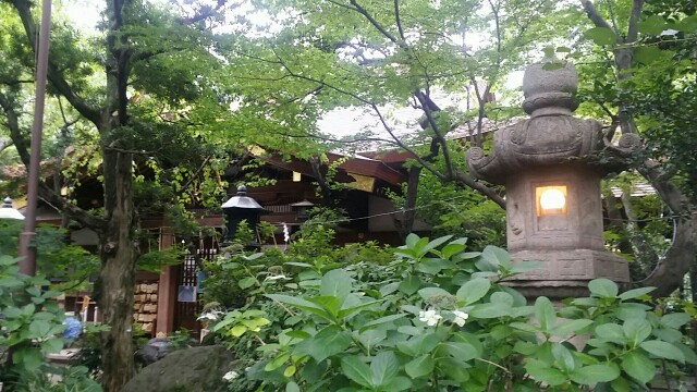 f:id:ichigo2015:20160715205855j:image f:id:ichigo2015:20160715205855j:image