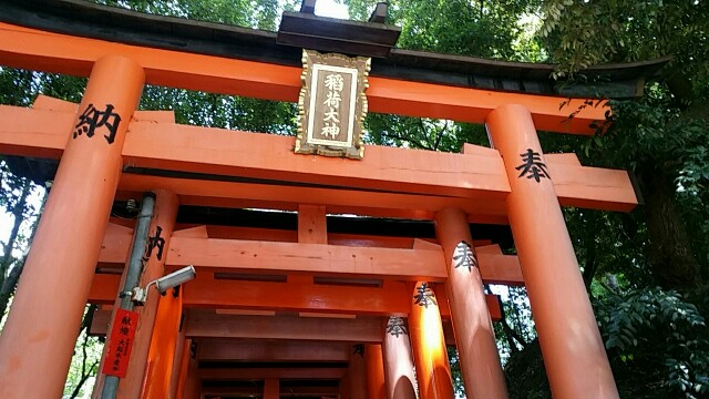 f:id:ichigo2015:20160720194450j:image f:id:ichigo2015:20160720194450j:image